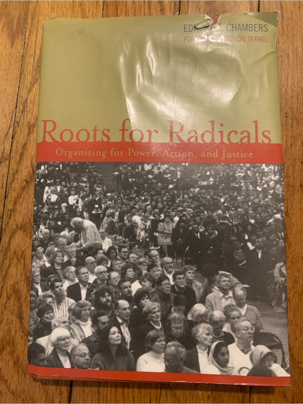 Roots for Radicals by Edward T Chambers—Hardcover textbook, 2003
